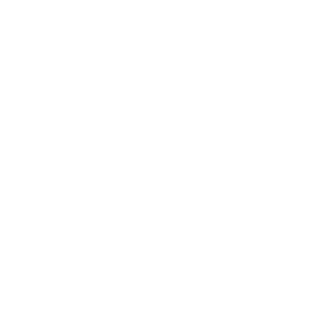 Junior Enterprises Switzerland